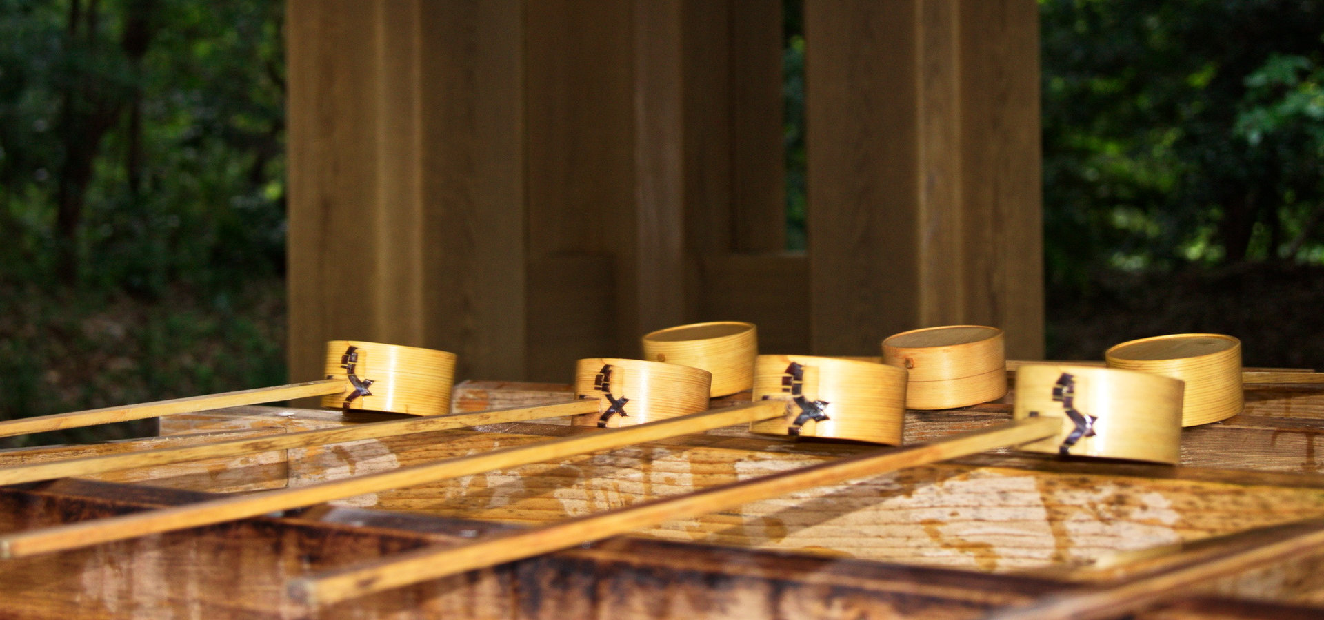 Meiji-Schrein - Japan 2011